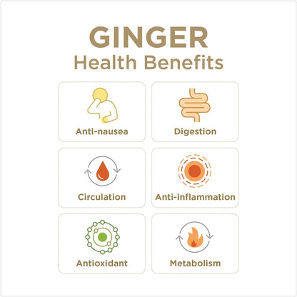 GIN_GINS_Original_Ginger_Chews_–_Natural_Fresh_Candy_by_The_People_Individually_Wrapped_Healthy_Flavor_3oz_Bag_(Pack_of_1)