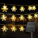 Warm White - 100 LED