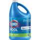 128 Fl Oz (Pack of 1) - Pool Algaecide