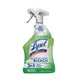 Bleach - 32 Fl Oz (Pack of 1)