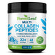 1 Pound (Pack of 1)
