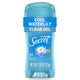 Cool Waterlily - 2.6 Ounce (Pack of 1)