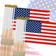 American - 50