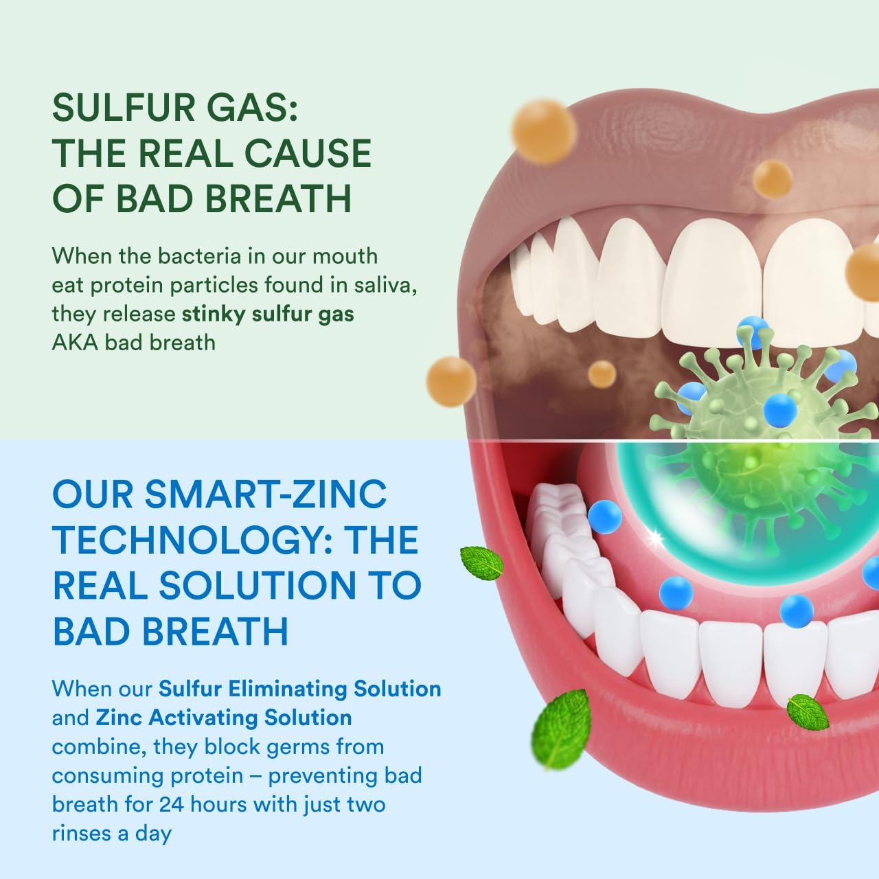 SmartMouth_Clinical_2-Bottle_Activated_Mouthwash_System_-_Anti-Plaque_&_Anti-Gingivitis_for_Healthy_Gum_Support_-_Clinical-Strength_Mouthwash_for_All-Day_Fresh_Breath_-_Alcohol-Free_-_16_fl_oz_Each