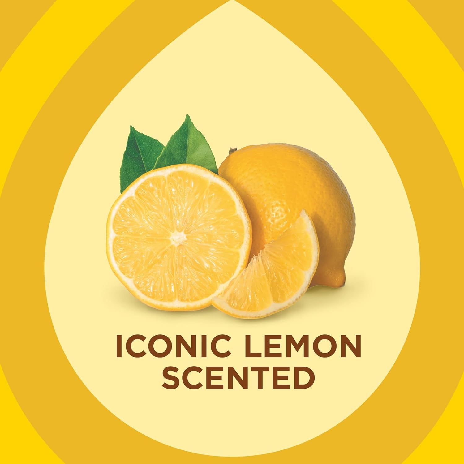 Pledge_Expert_Care_Enhancing_Wood_Wipes,_Lemon_Scent,_24_Count