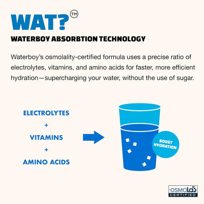 Waterboy_Workout_Hydration_|_2,960mg_Sugar_Free_Electrolyte_Powder_Packets_|_L-Glutamine_+_Vitamins_|_No_Sugar,_All_Natural,_Gluten_Free_(Variety)