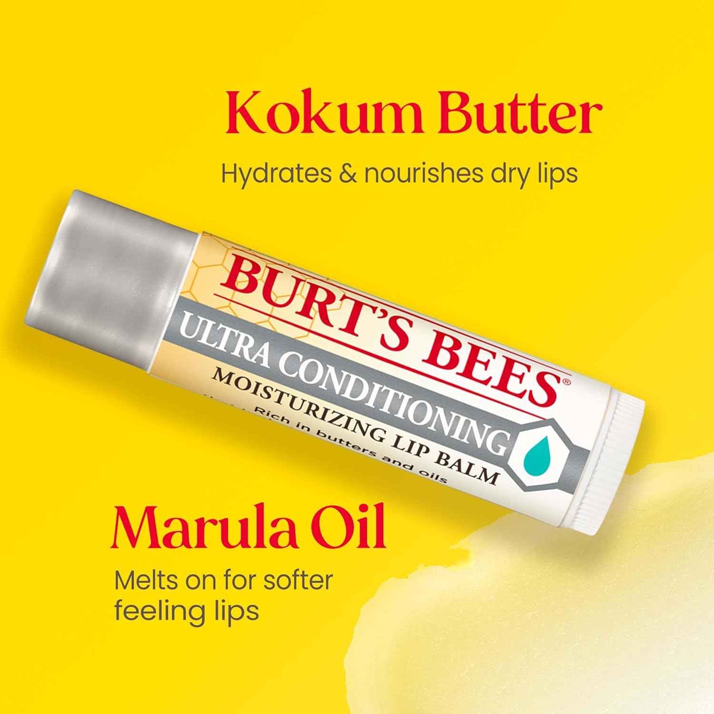 Burt's Bees Lip Balm, Moisturizing Lip Care, 100% Natural Origin