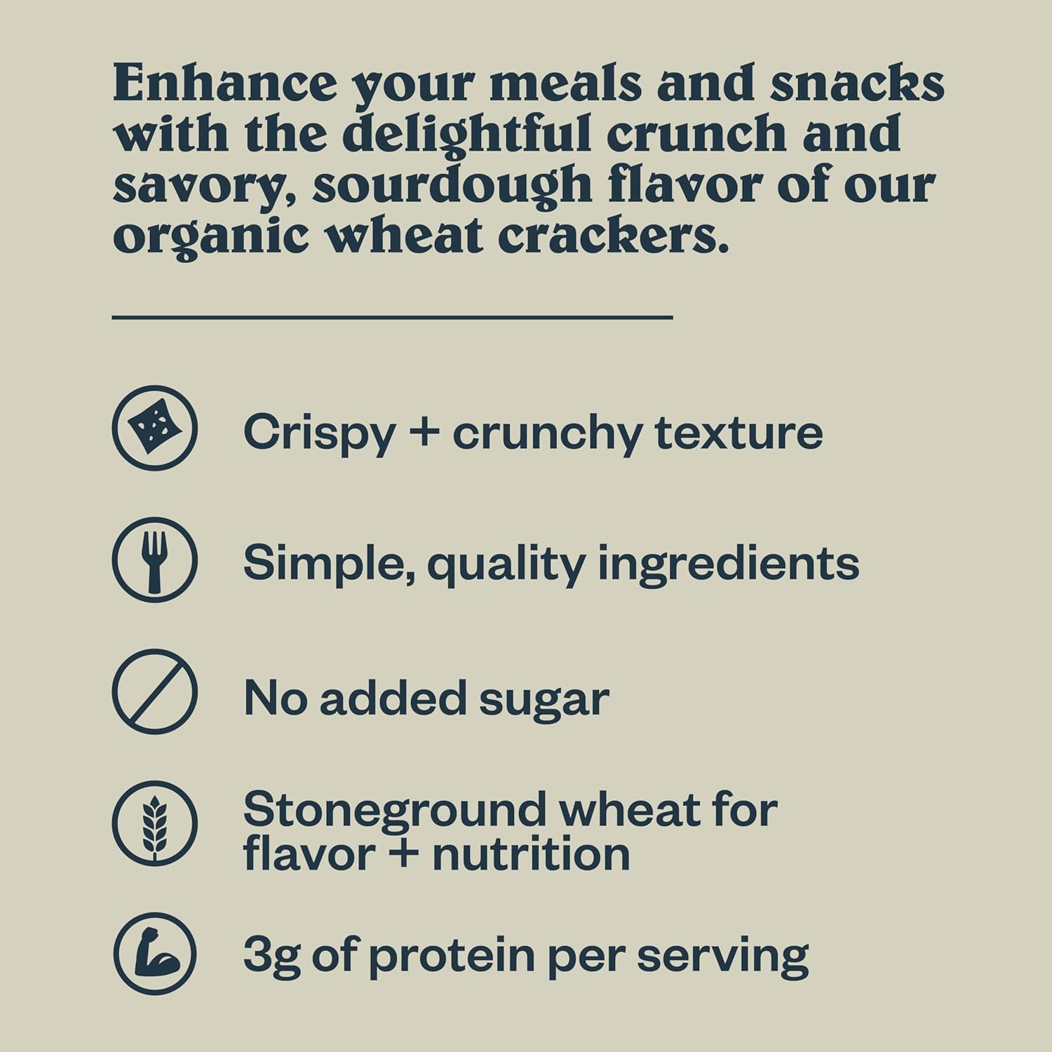 Patagonia_Provisions_Organic_Sourdough_Sea_Salt_Crackers_–_3g_Plant_Protein_Per_Serving_–_Made_with_Wheat_Flour_&_Sea_Salt_–_Non-GMO,_No_Added_Sugar_-_Crispy_&_Crunchy
