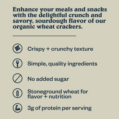 Patagonia_Provisions_Organic_Sourdough_Sea_Salt_Crackers_–_3g_Plant_Protein_Per_Serving_–_Made_with_Wheat_Flour_&_Sea_Salt_–_Non-GMO,_No_Added_Sugar_-_Crispy_&_Crunchy