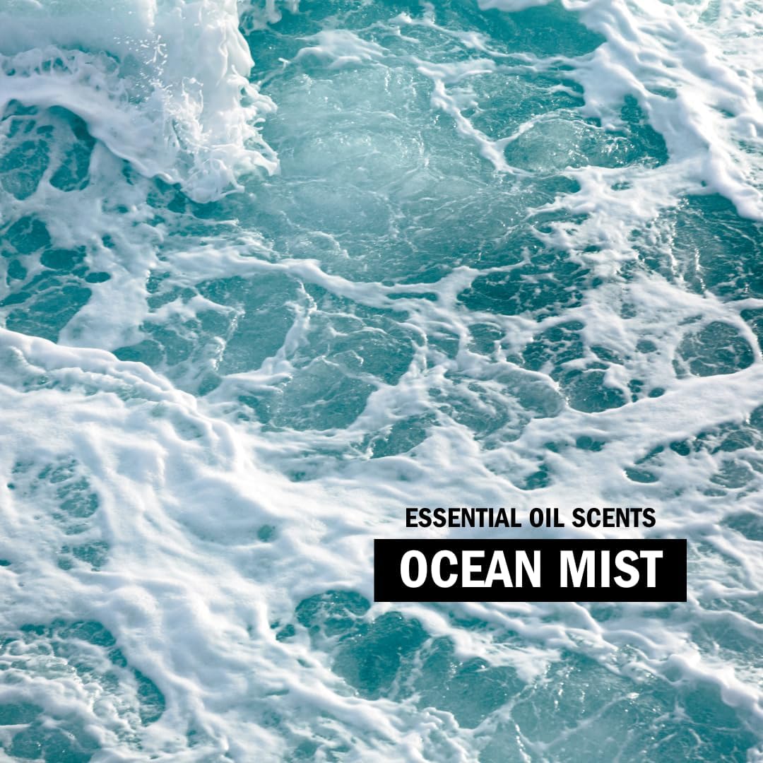 Molly's_Suds_Liquid_Laundry_Detergent_|_Clean_Laundry_Detergent_Soap_for_Sensitive_Skin_|_2x_Concentrated,_High_Efficiency_(HE)_(Ocean_Mist_-_200_Loads)