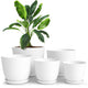 pack of 5 - White