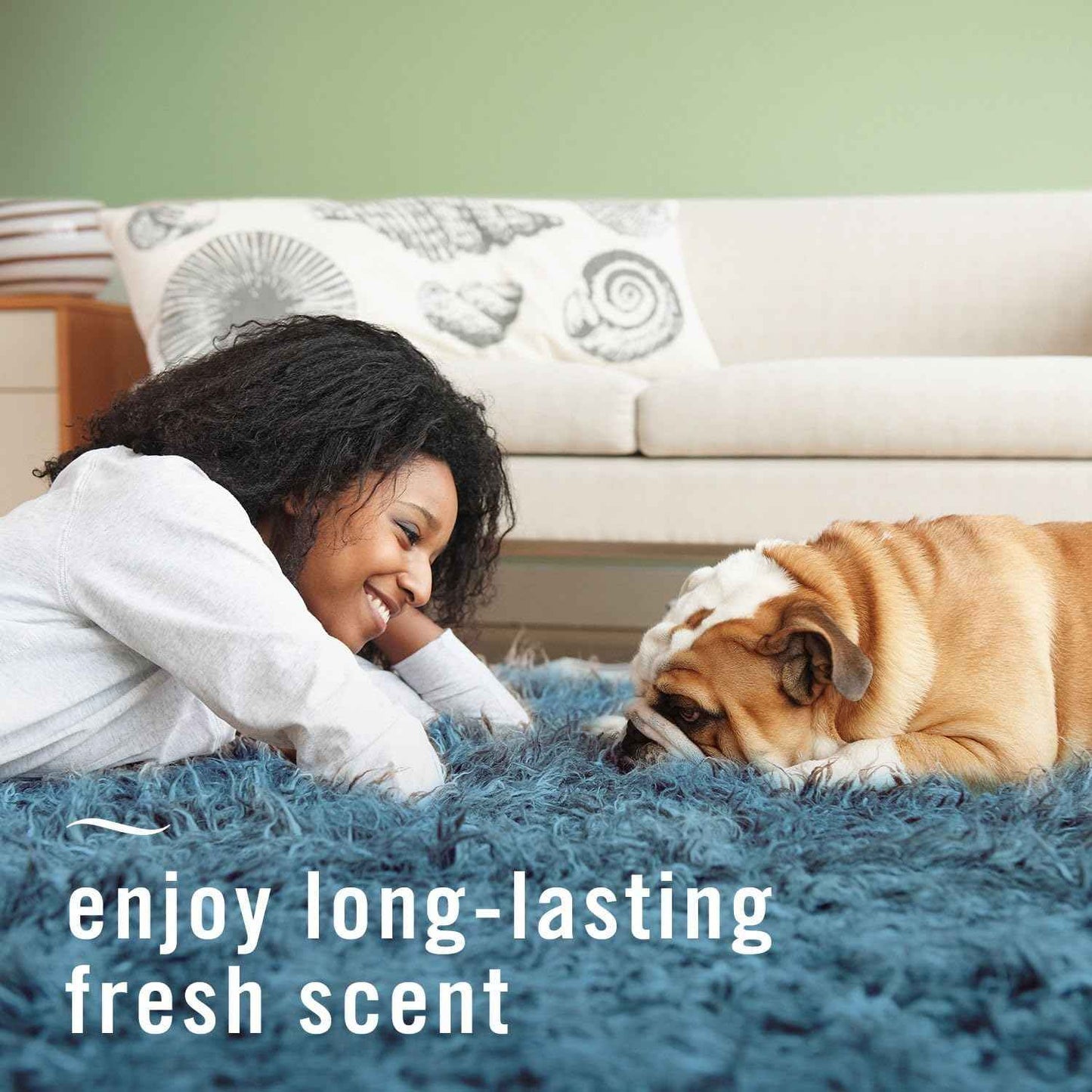 Febreze Fabric Spray Air Freshener, Odor-Fighting Fabric Refresher, Sneaker Balls Alternative, Couch Cleaner, Linen Spray, Multi-Use, Pet Odor Fighter Scent