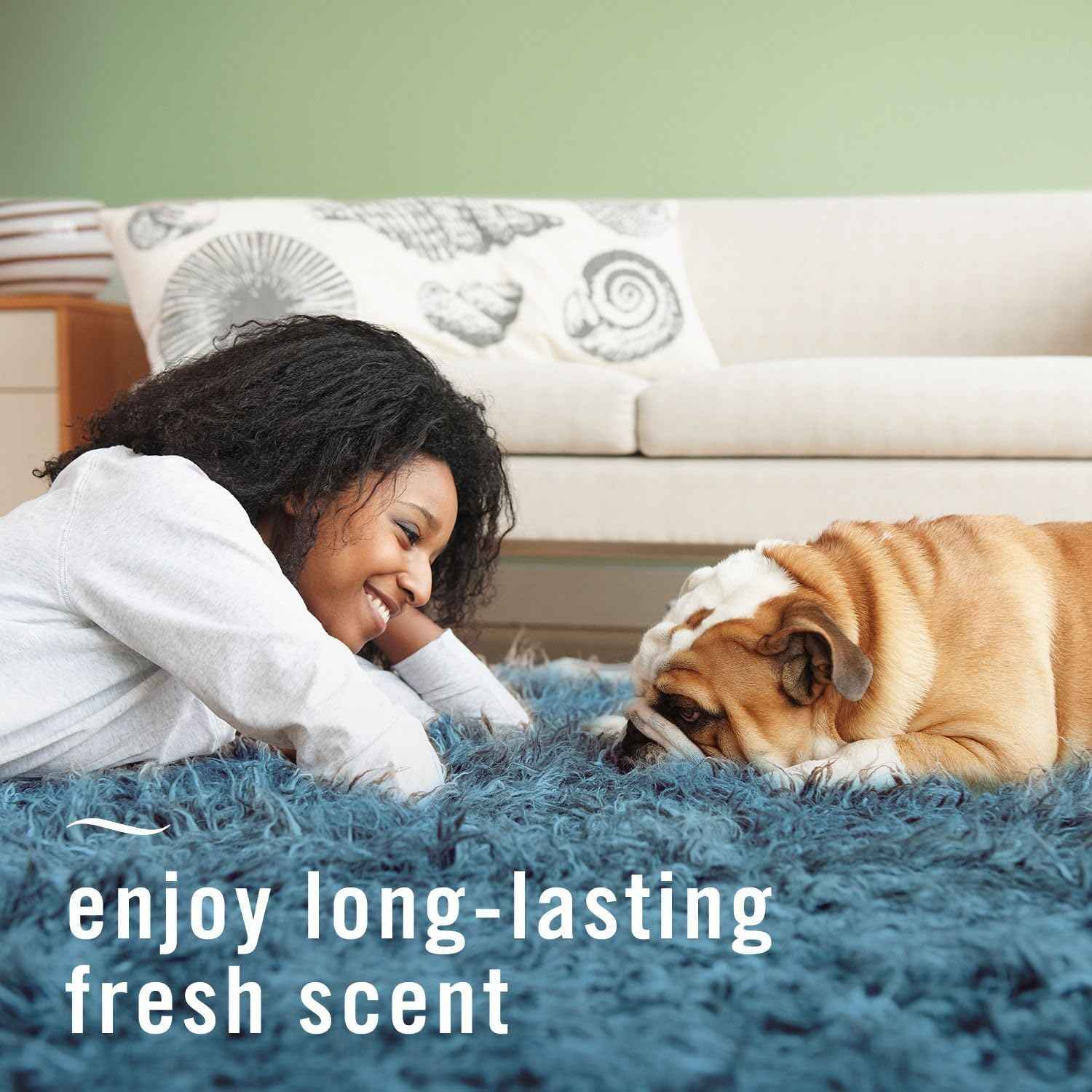 Febreze Fabric Spray Air Freshener, Odor-Fighting Fabric Refresher, Sneaker Balls Alternative, Couch Cleaner, Linen Spray, Multi-Use, Pet Odor Fighter Scent