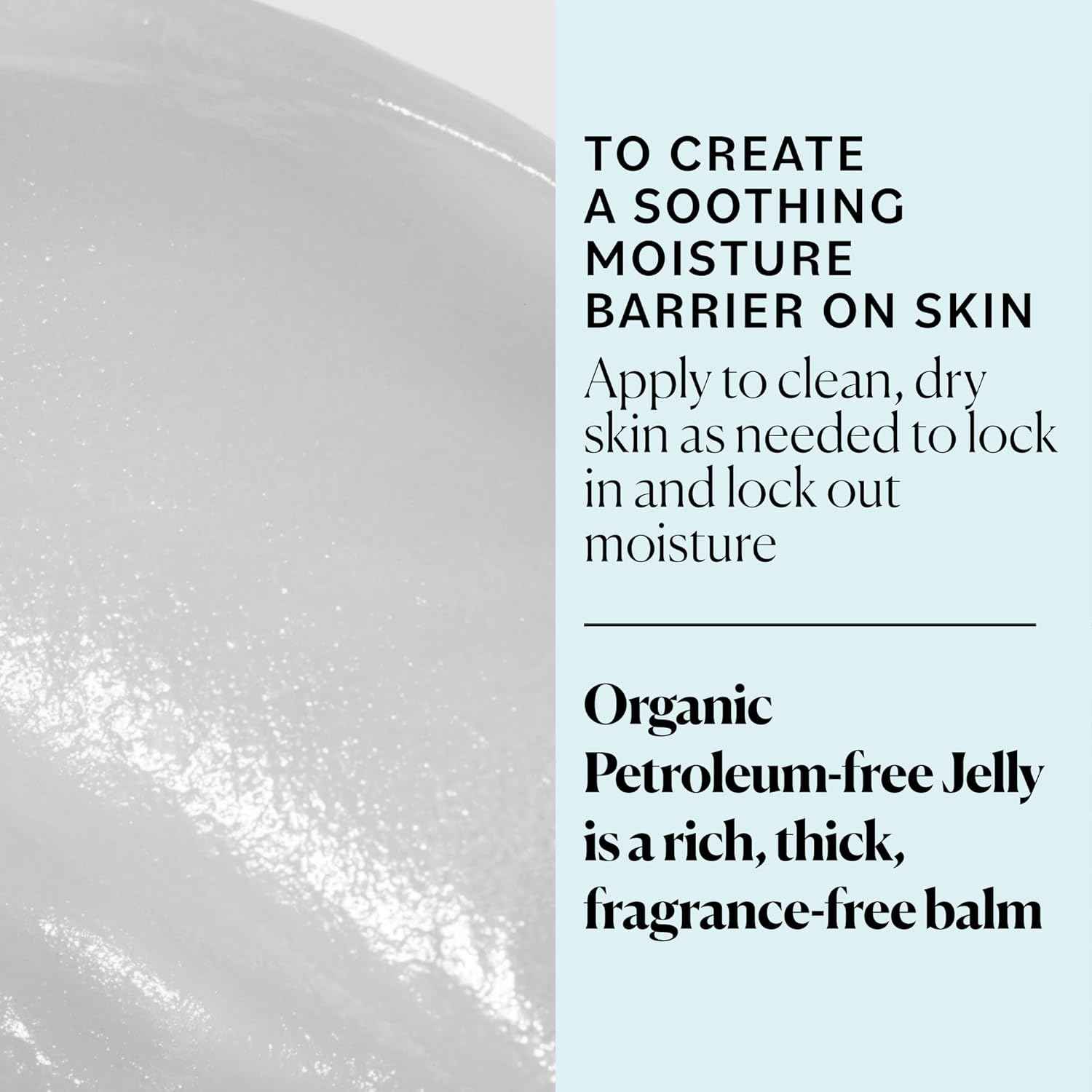 Sky Organics Organic Petroleum-free Jelly, Multi-Purpose Skin Care Balm with Organic Shea Butter, Coconut Oil, Olive Oil & Vitamin E, Moisturizing Lip Balm & Moisturizer for Dry Skin, 2.5 Oz