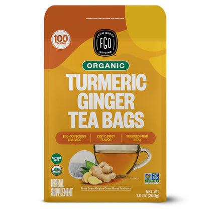 Turmeric Ginger - 100 Count (Pack of 1)