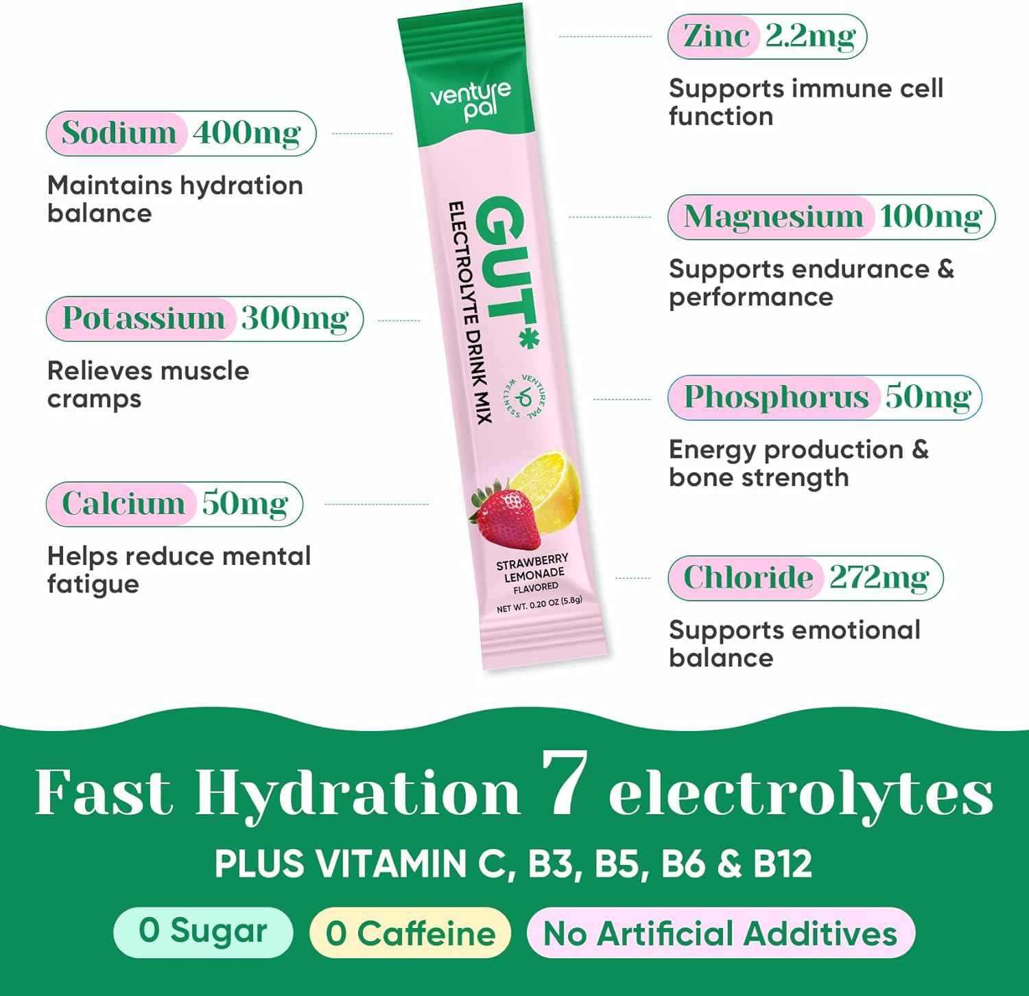 Venture Pal 2-in-1 Hydration Packets + Gut Health Electrolytes Powder - 7 Electrolytes & 5 Vitamins, Probiotics - Sugar Free Liquid Daily IV Drink Mix for Dehydration Relief | Non-GMO | 16 Sticks