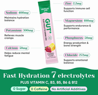 Venture Pal 2-in-1 Hydration Packets + Gut Health Electrolytes Powder - 7 Electrolytes & 5 Vitamins, Probiotics - Sugar Free Liquid Daily IV Drink Mix for Dehydration Relief | Non-GMO | 16 Sticks