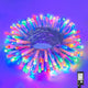 Multicolor - 100LED/33FT