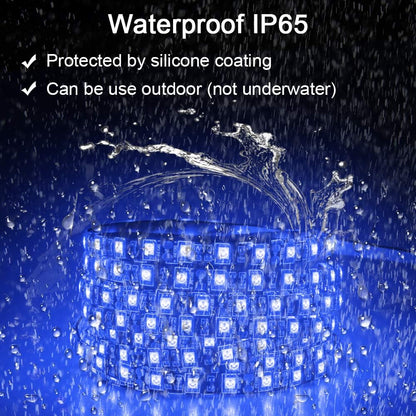 ALITOVE_16.4ft_5050_Blue_LED_Flexible_Strip_Ribbon_Light_Black_PCB_DC_12V_5M_300_LEDs_Waterproof_IP65_for_Home_Garden_Commercial_Area_Lighting,_Without_Power_Supply