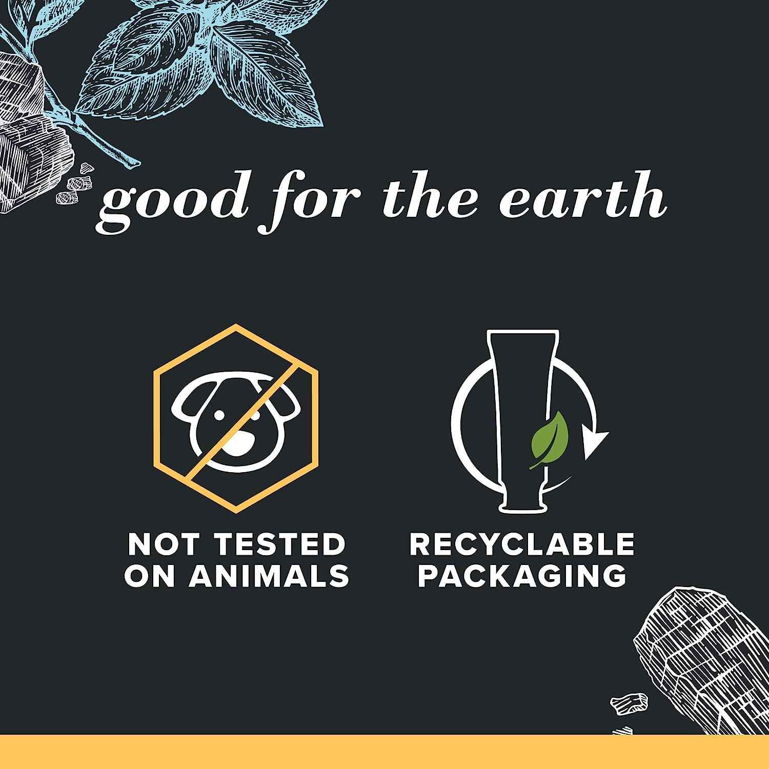 Burt's Bees Toothpaste, Natural Flavor, Charcoal with Fluoride Toothpaste