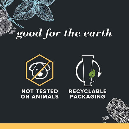 Burt's Bees Toothpaste, Natural Flavor, Charcoal with Fluoride Toothpaste