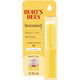 Sheer Plus - 1 Count (Pack of 1)