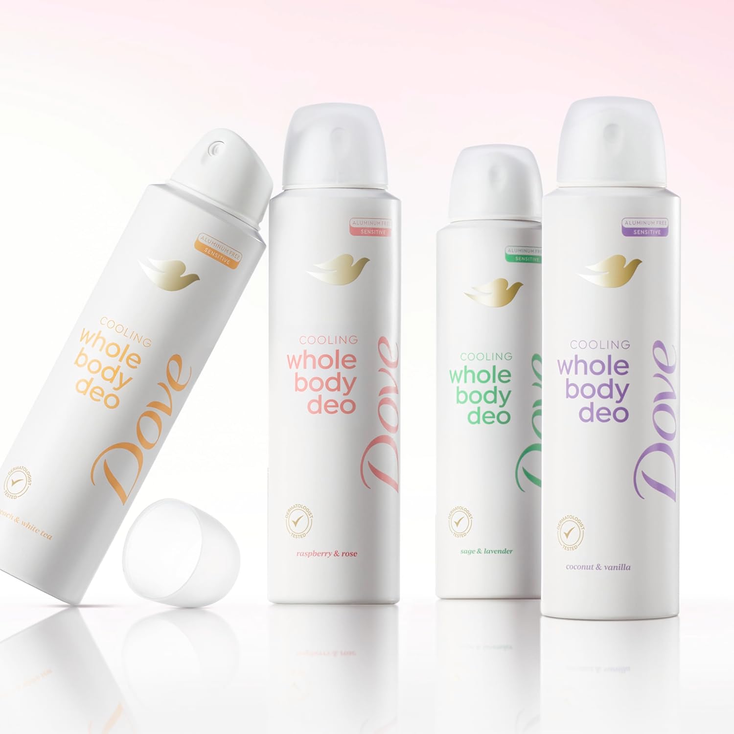 Dove_Whole_Body_Deodorant_Cooling_Spray_Raspberry_&_Rose_Aluminum_Free_4oz