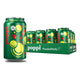 Ginger Fizz - 12 Fl Oz (Pack of 12)
