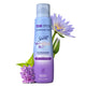 Fresh Lilac & Water Lily