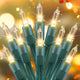Warm White - Green Wire - 50 Count - 1PC