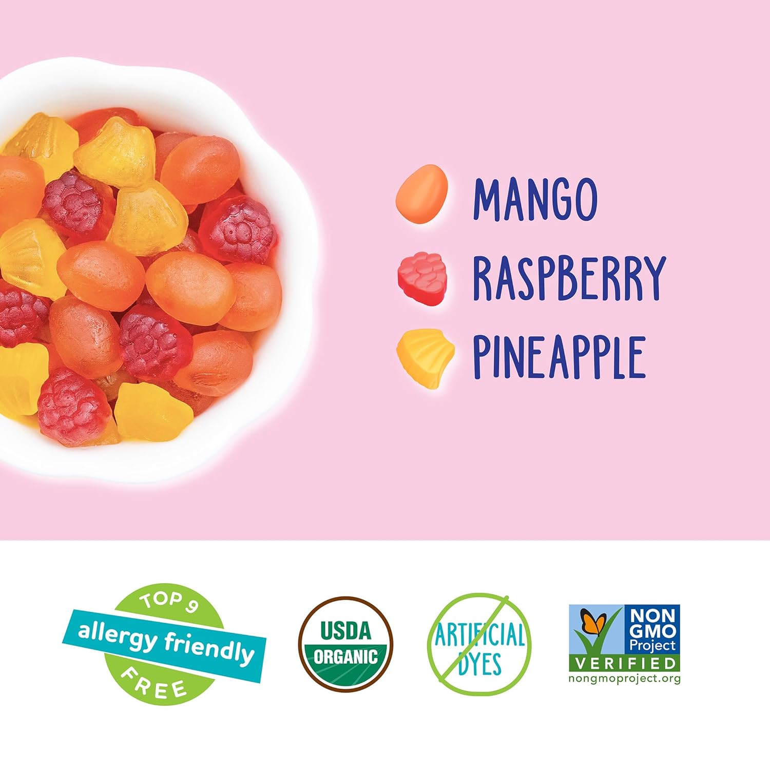 YumEarth_Organic_Assorted_Tropical_Flavor_Fruit_Snacks_-_Allergy_Friendly_(Top_9_Free),_No_Artificial_Dyes_or_Flavors,_Non_GMO,_Gluten_Free,_Vegan_Candy_Snacks_-_0.7_Ounce_(Pack_of_5)