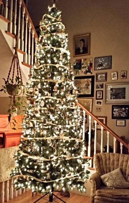 Ribbon_Lights_for_Christmas_Tree_Decorations,32ft_100_LED_Lights_Gold_Edge_Wired_Ribbon_Fairy_Lights_for_Xmas_Tree_Wedding_Birthday_Party_Home_Holiday_Decor