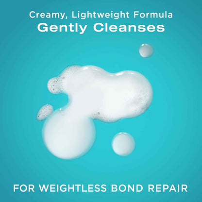 OGX Repair & Protect Bond Protein Repair Shampoo, Lightweight Hair Wash Cleanses & Targets Damaged Hair for Effective Bond Repair, Formulated without Parabens, 13 fl. oz