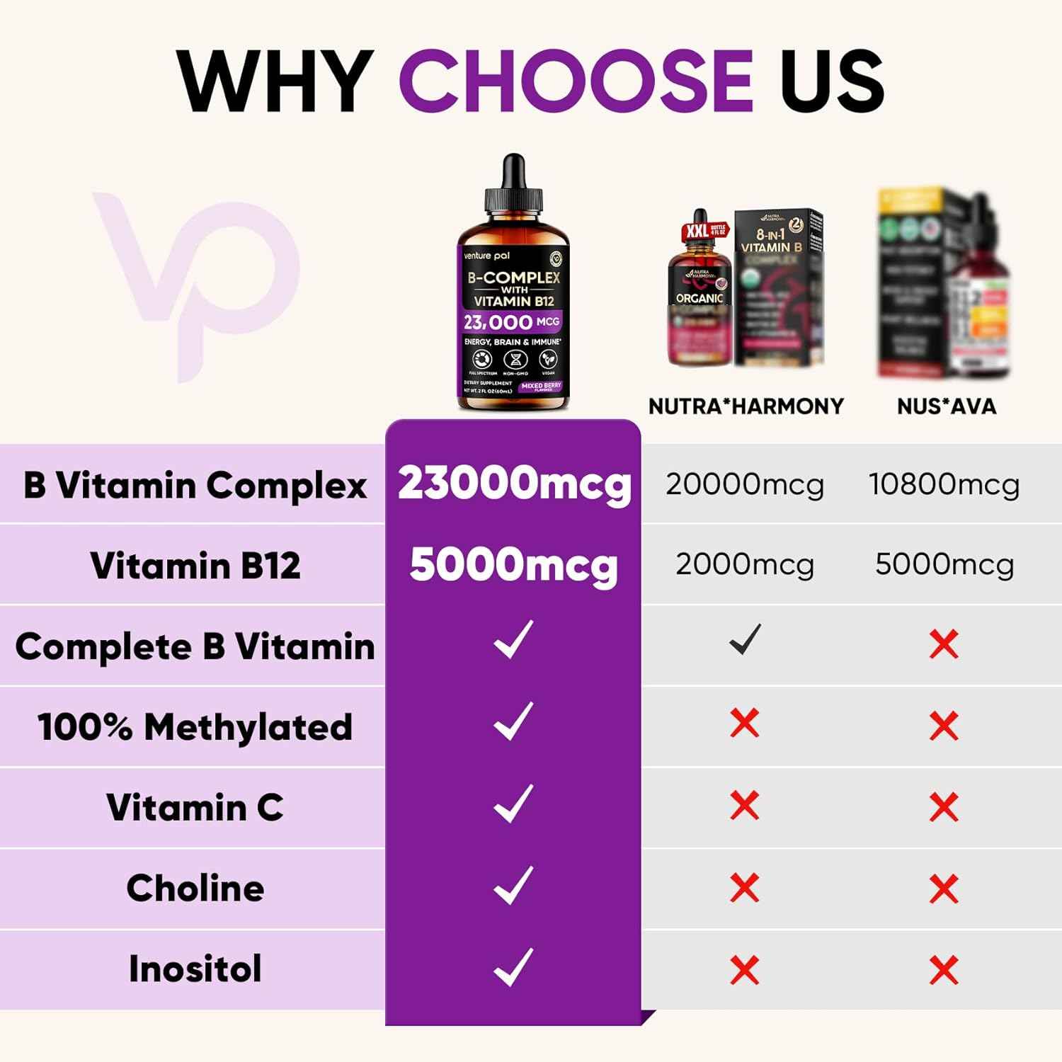 Venture Pal Vitamin B Complex Liquid Drops, B12 Methylcobalamin | B9 Folic | B1,B2,B3,B5,B6,B16 - Vitamin C, Choline, Inositol, Immune & Energy Metabolism, Brain & Heart Support
