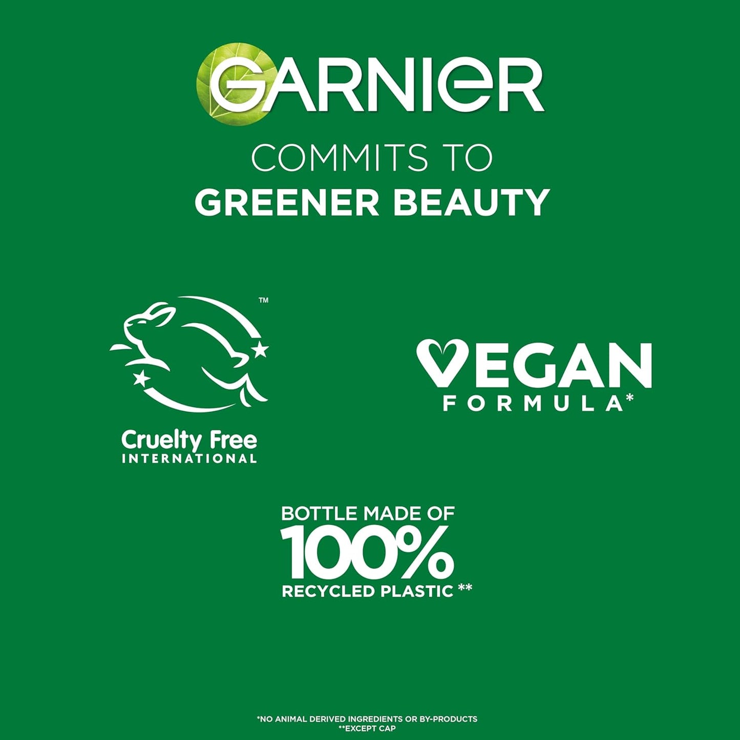Garnier_Fructis_Sleek_and_Shine_Sleek_and_Stay_Hair_Serum_for_Frizzy,_Dry_Hair,_Heat_Protectant_Formulated_with_Alpha_Silane,_1.7_Fl_Oz(Packaging_May_Vary)