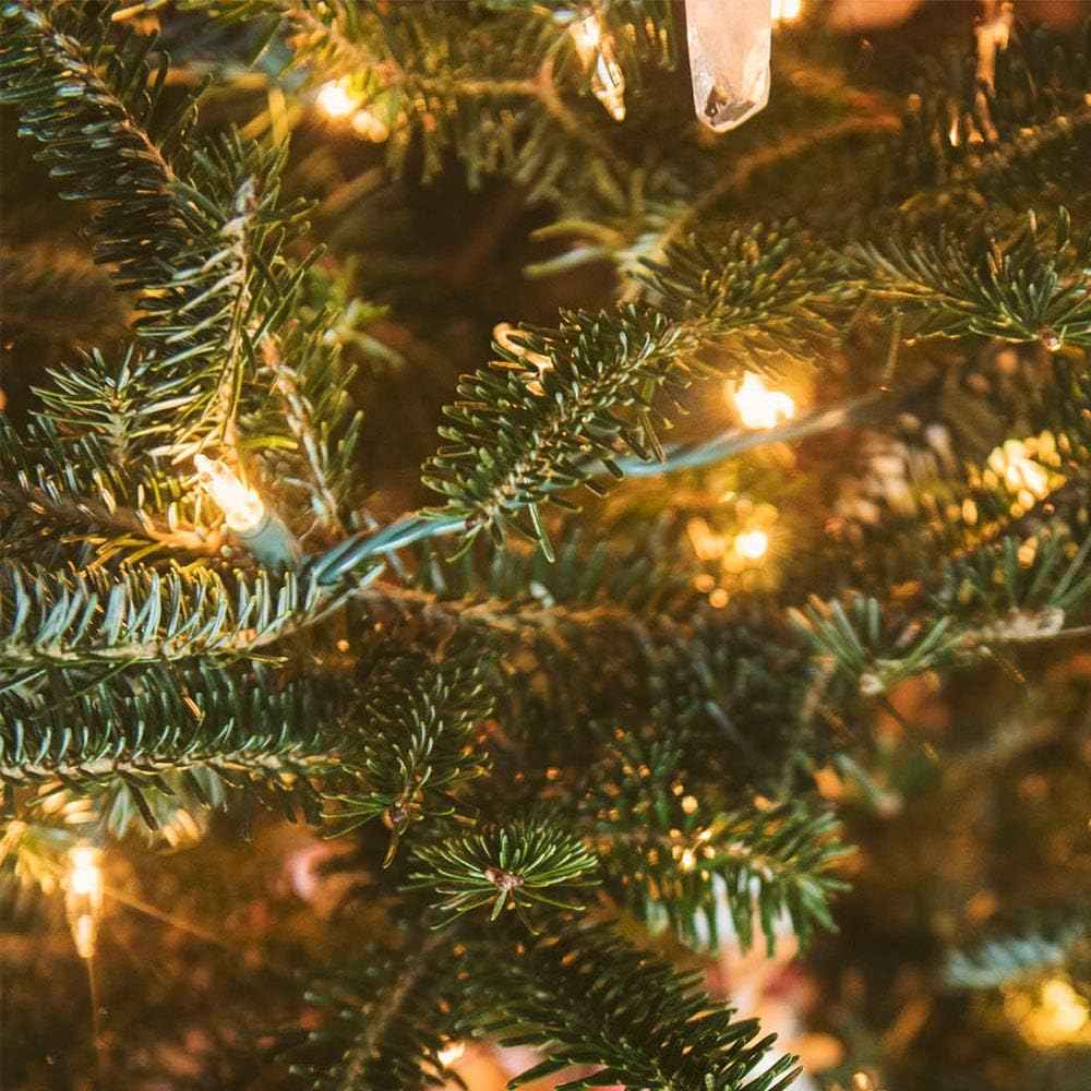 String Lights Warm White LED with 8 Modes and Auto Timer, Charming Housewarming Gift and Holiday Present for Women, Waterproof USB or Battery Powered