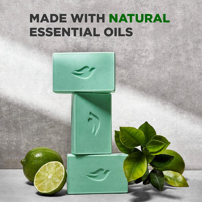 DOVE_MEN_+_CARE_Plant-Powered_Natural_Essential_Oil_Bar_Soap_Reinvigorating_Lime_+_Avocado_Oil_to_Clean_and_Hydrate_Mens_Skin_4-in-1_Bar_Soap_for_Men's_Body,_Hair,_Face_and_Shave._5_oz,_4_Count