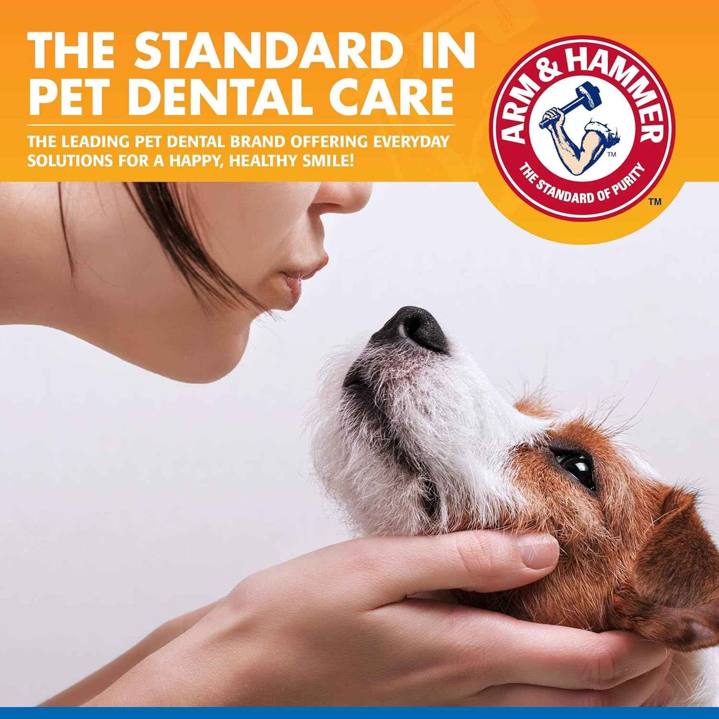Arm & Hammer Clinical Care Dental Rinse for Adult Dogs, Odorless Flavorless Water Additive for Daily Plaque, Tartar, and Bad Breath Control, Baking Soda Enhanced Formula, 16 Fl Oz