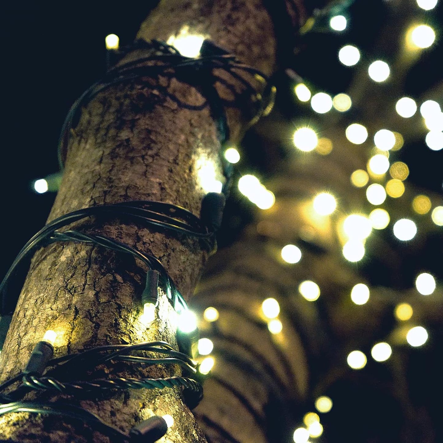 Christmas_Lights_-_Battery_Operated_String_Lights_50_LED_String_Lights_Mini_Lights_with_Auto-Timer_and_8_Lighting_Modes_for_Christmas_Wreath_Party_Wedding_Garden_Home_Decoration,_Warm_White
