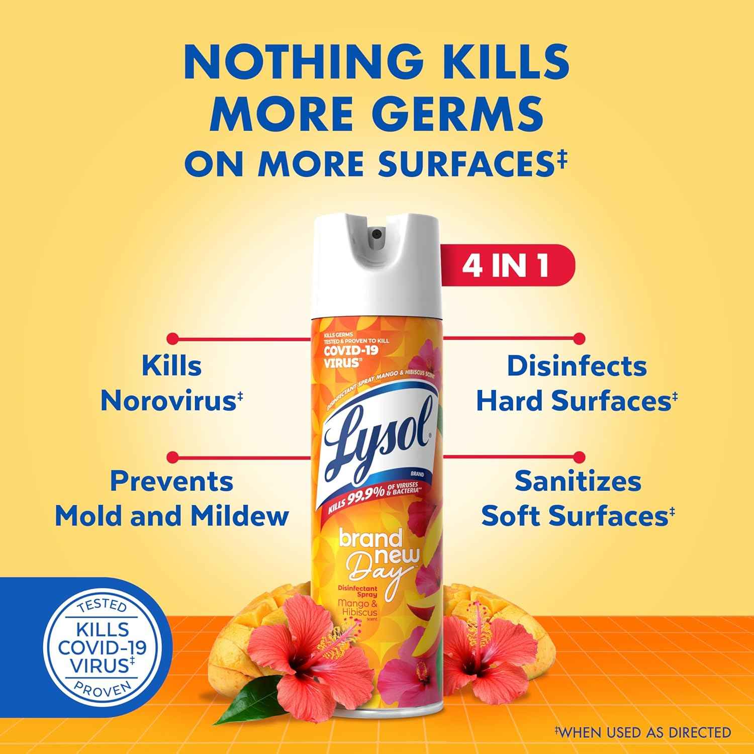 Lysol Disinfectant Spray, Sanitizing and Antibacterial Spray, For Disinfecting and Deodorizing