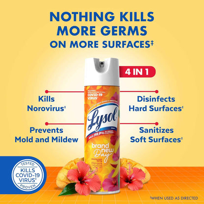 Lysol Disinfectant Spray, Sanitizing and Antibacterial Spray, For Disinfecting and Deodorizing