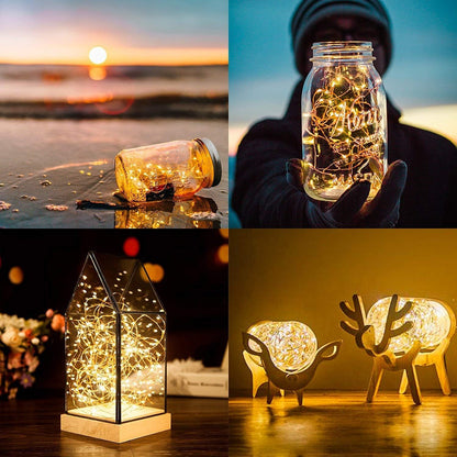 ANJAYLIA_LED_Fairy_String_Lights,_30leds_Firefly_String_Lights_Garden_Home_Party_Wedding_Festival_Decorations_Crafting_Battery_Operated_Lights