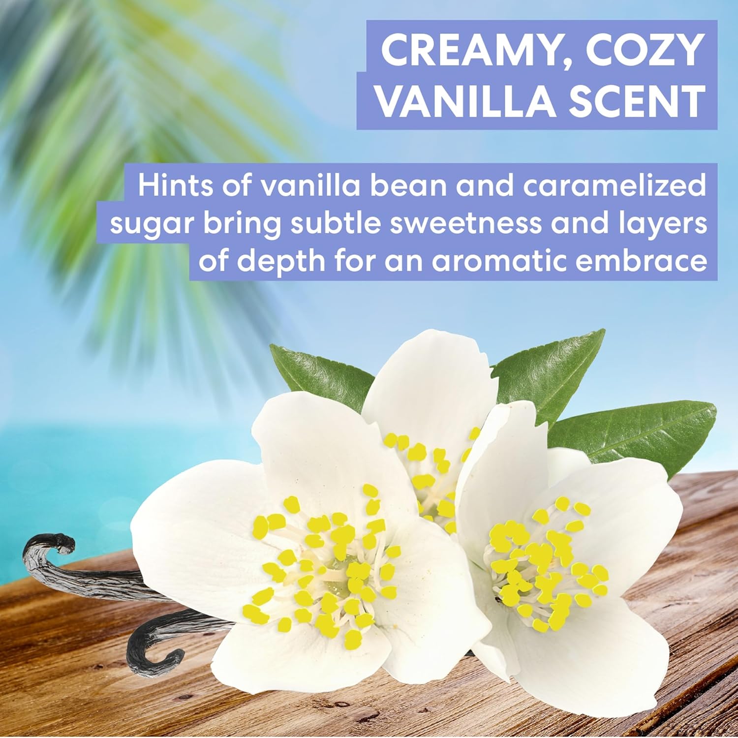 Palmer's_Cocoa_Butter_Formula_Tahitian_Vanilla_Body_Lotion,_13.5_Oz,_Daily_Moisturizing_Lotion_for_Dry_Skin_with_Shea_Butter_&_Vitamin_E,_Hydrates_&_Protects,_Helps_Provide_48-Hour_Deep_Moisture