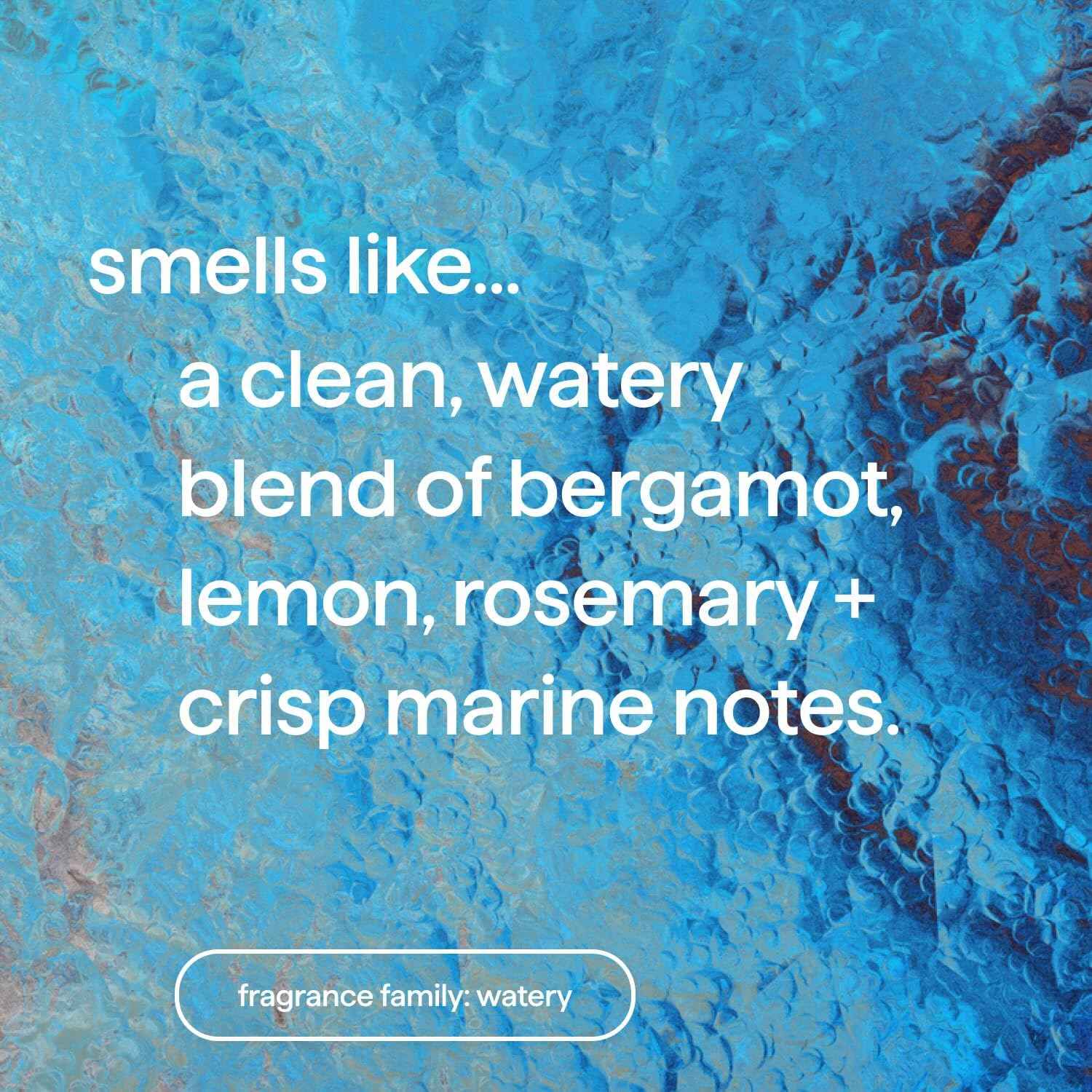Method Foaming Hand Soap, Sea Minerals, Recyclable Bottle