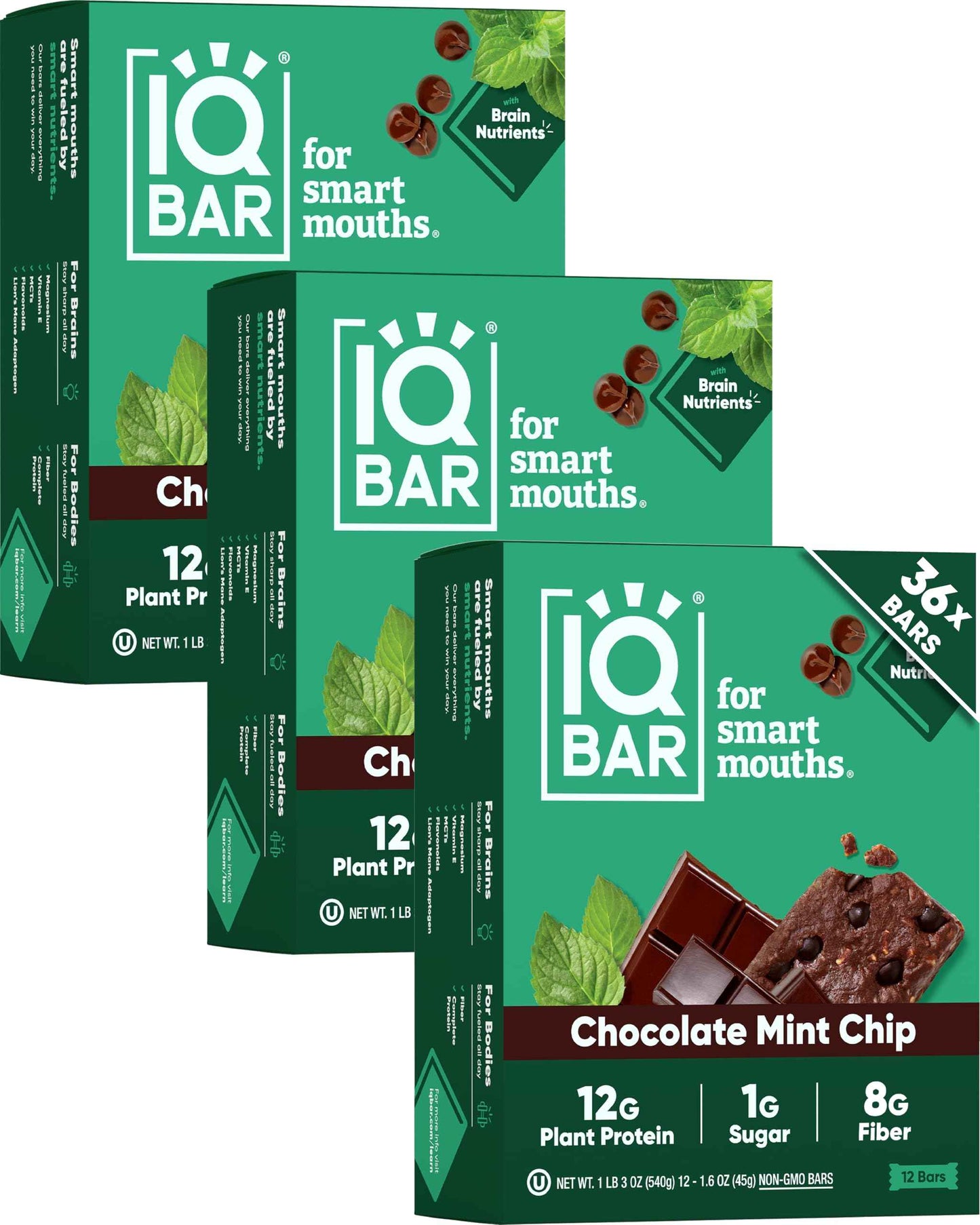 IQBAR Clean Plant Protein Bars - Keto, Vegan, High Fiber, Gluten and Dairy Free, Low Sugar Snack - Brain and Body Nutrients for Focus, Energy, Meal Replacement