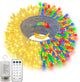 Clear Wire - Multicolor - 200 LEDs