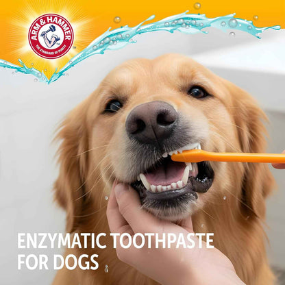 Arm & Hammer Complete Care Enzymatic Dog Toothpaste with Baking Soda and Calcium, Fluoride-Free Chicken Flavor for Plaque, Tartar, and Fresh Breath,