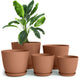 pack of 5 - Terracotta