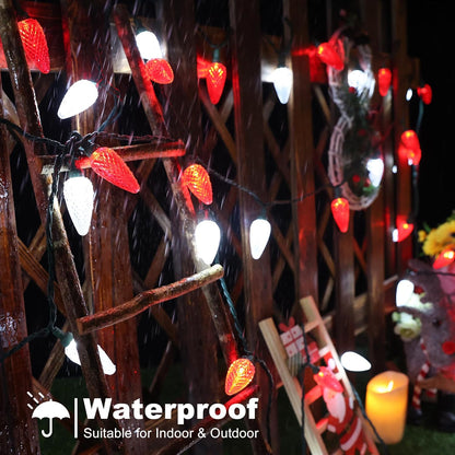 Brizled_100_LED_C9_Red_&_White_Christmas_Lights,_66FT_Faceted_Christmas_Lights,_Connectable_Outdoor_Strawberry_String_Light,_120V_UL_Certified_Indoor_Xmas_Light_for_Tree_House_Garden_Party_&_Holiday