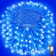 Blue - 300LED/100FT